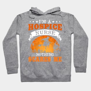 I'm A Hospice Nurse Funny Halloween Party Costume Gift Hoodie